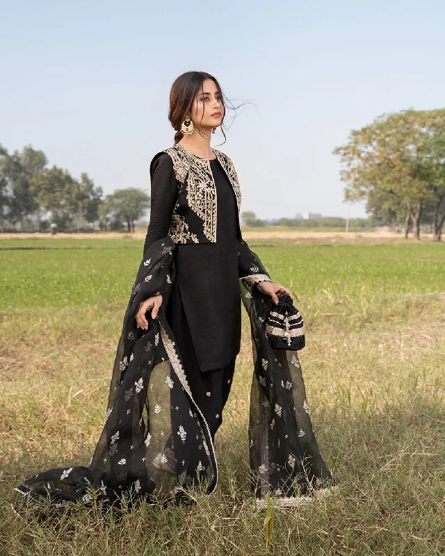 Elegant Pakistani Designer Salwar Kameez Dress #PN572